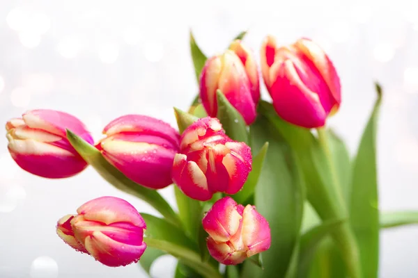 Krásná kytice z tulipánů — Stock fotografie