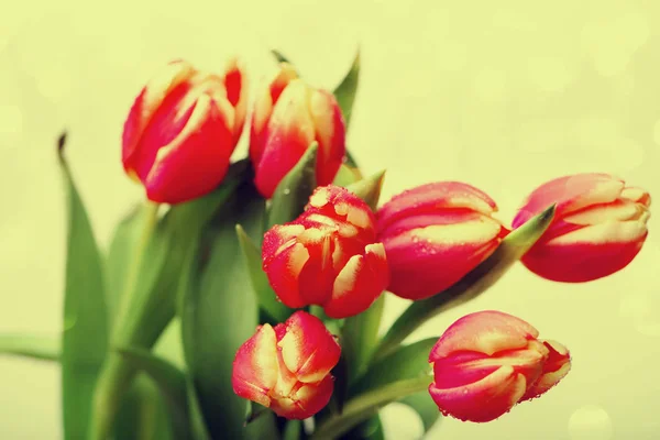 Beutiful boeket tulpen — Stockfoto