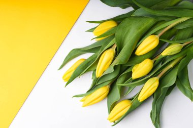 Bahar arka plan. Buket Beyaz Sarı laleler