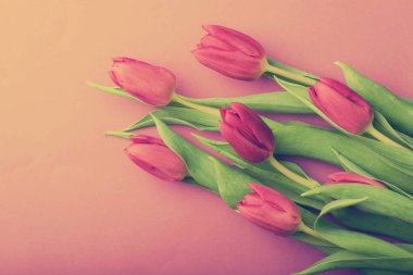 Bir buket pembe lale.