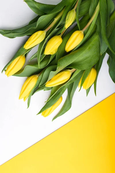 Frühling Hintergrund. Strauß gelber Tulpen auf weißem Grund — Stockfoto