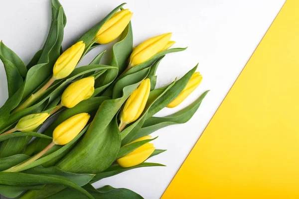 Frühling Hintergrund. Strauß gelber Tulpen auf weißem Grund — Stockfoto
