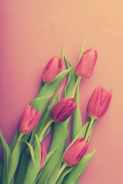 Boeket roze tulpen — Stockfoto