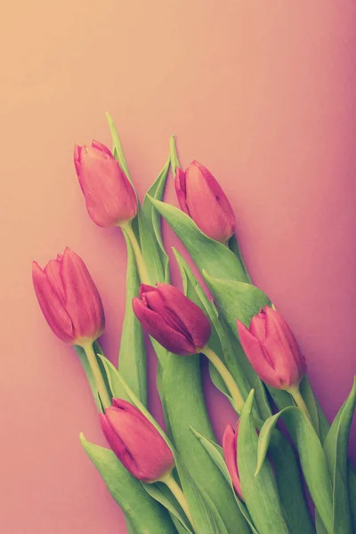 Boeket roze tulpen — Stockfoto