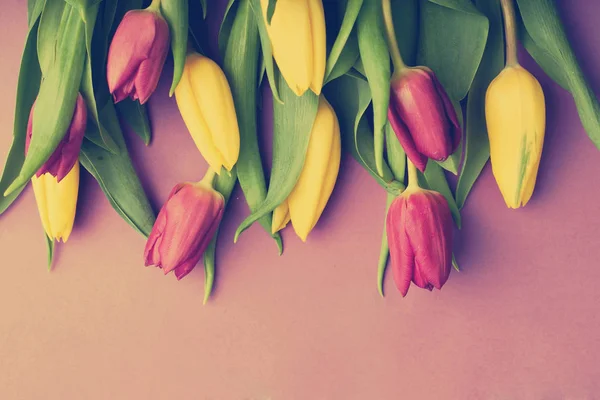 Gele en rode tulpen op roze achtergrond — Stockfoto