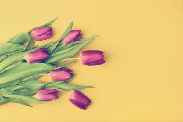 Boeket tulpen op gele achtergrond — Stockfoto