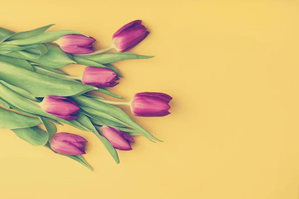 Boeket tulpen op gele achtergrond — Stockfoto