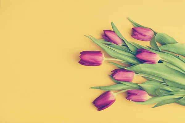 Boeket tulpen op gele achtergrond — Stockfoto