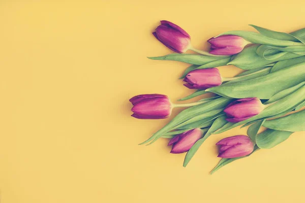 Boeket tulpen op gele achtergrond — Stockfoto