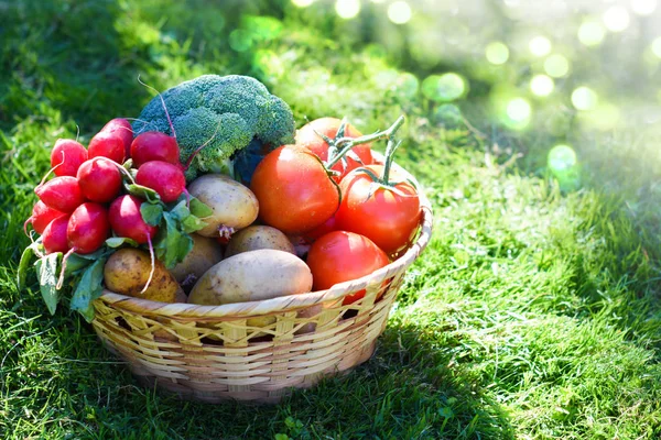 Légumes frais dans un panier en bois — Photo