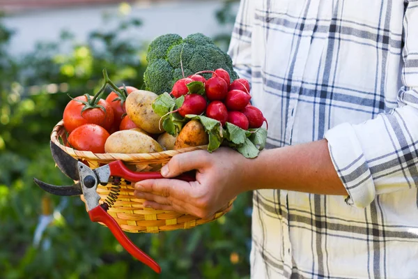 Man carying freshly harvested vegetables in garden — Stock Photo, Image