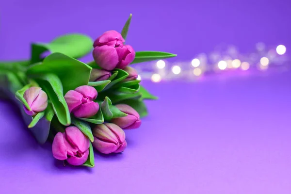 spring flowers banner - bunch of pink tulip flowers