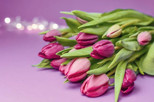 spring flowers banner - bunch of pink tulip flowers