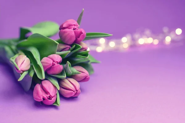 Våren Blommor Banner Gäng Rosa Tulpan Blommor — Stockfoto