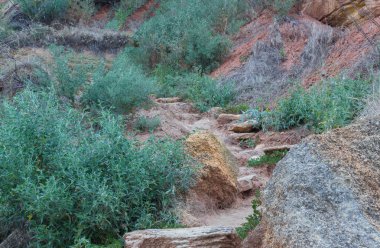 Doku sokak bir kaldırım