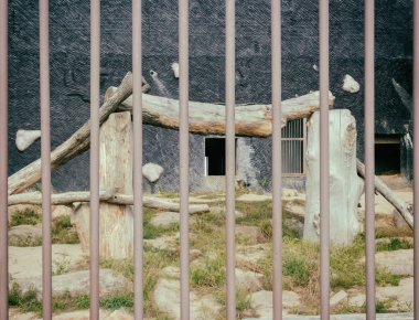 Kafes ayı Hayvanat Bahçesi için. Esaret hayvanlarda