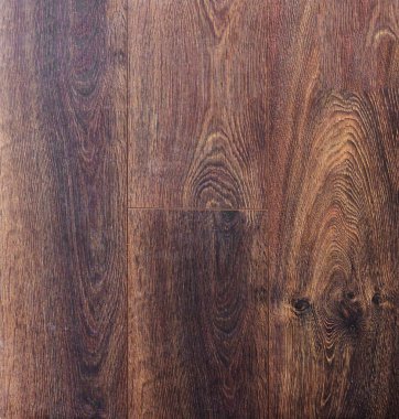 Ahşap dokusu. Paul. Huş ağacı