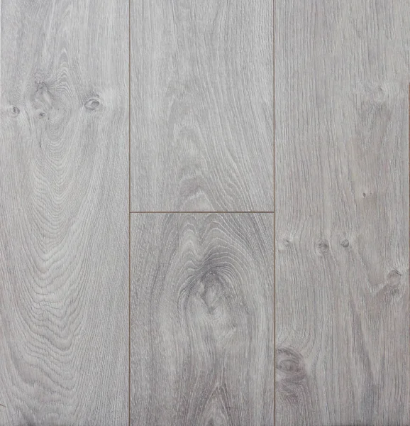 Ahşap dokusu. Paul. Huş ağacı