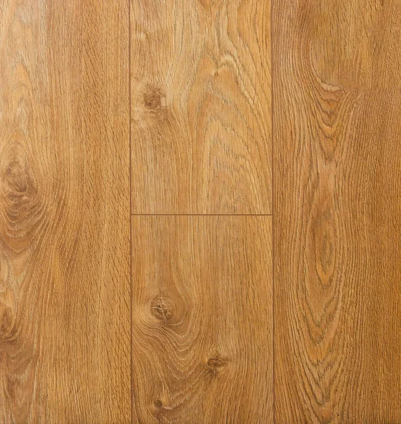 Ahşap dokusu. Paul. Huş ağacı