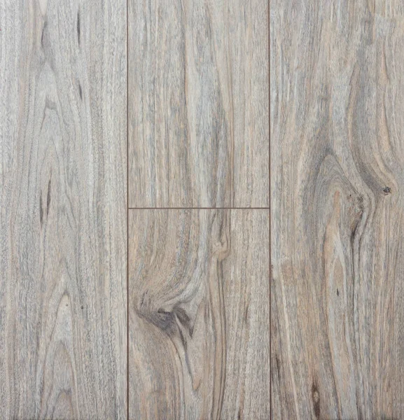 Ahşap dokusu. Paul. akçaağaç