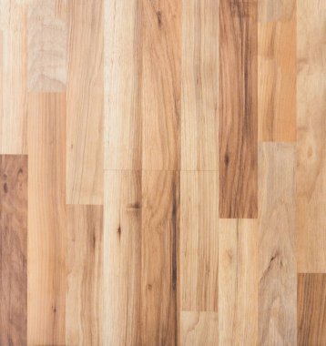 Ahşap dokusu. Paul. Huş ağacı