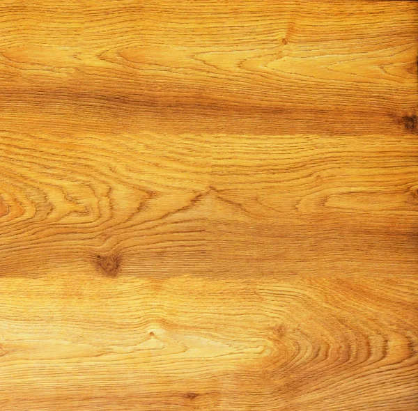 Ahşap dokusu. Paul. akçaağaç