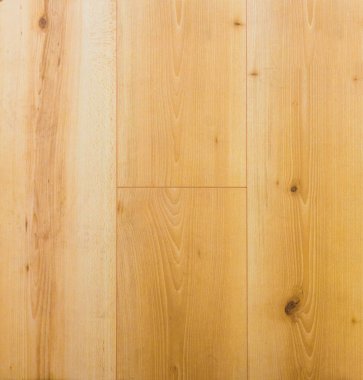 Ahşap dokusu. Paul. Huş ağacı