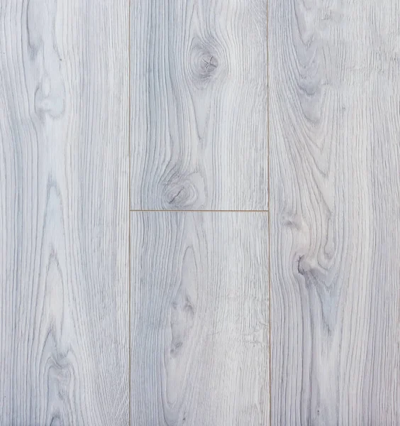 Ahşap dokusu. Paul. Huş ağacı