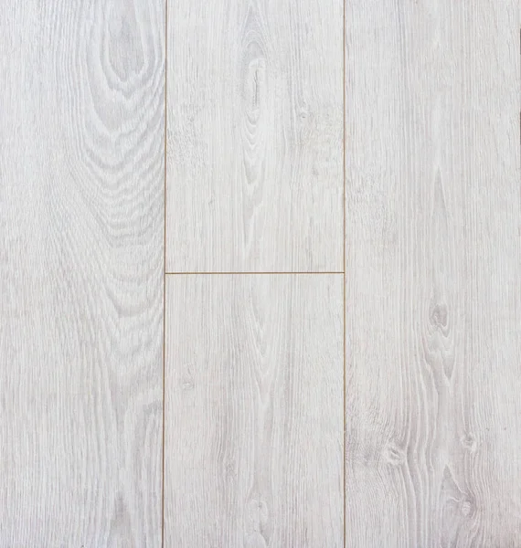 Ahşap dokusu. Paul. Huş ağacı