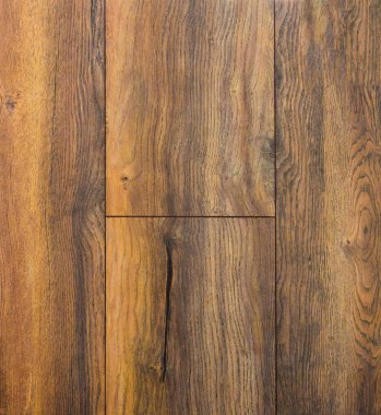 Ahşap dokusu. Paul. Huş ağacı