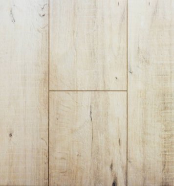 Ahşap dokusu. Paul. Huş ağacı