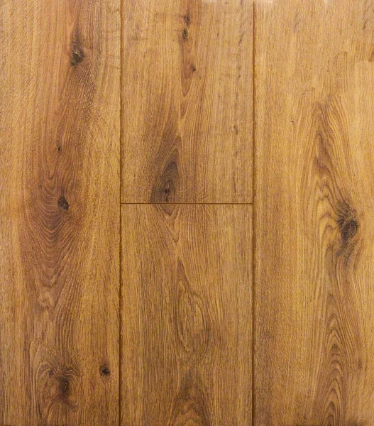 Ahşap dokusu. Paul. Huş ağacı