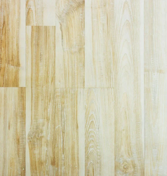 Ahşap dokusu. Paul. Huş ağacı