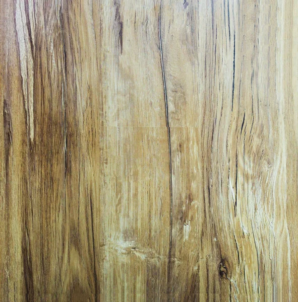 Ahşap dokusu. Paul. akçaağaç