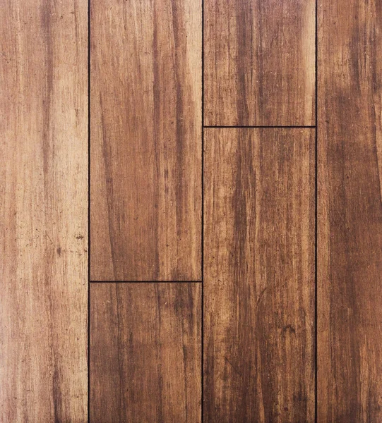 Ahşap dokusu. Paul. Huş ağacı