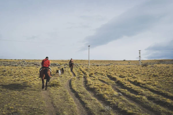 El Calafate, Arjantin: kişini Arjantinli Patagonya'da onun köpekleri ile