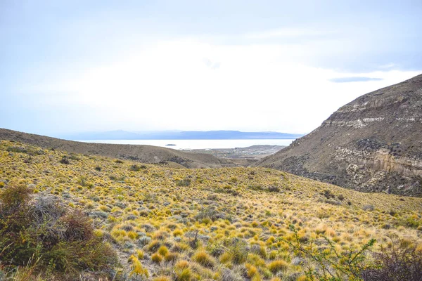 EL CALAFATE: аргентинская патагония — стоковое фото