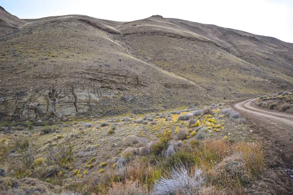 El Calafate: Arjantinli Patagonya