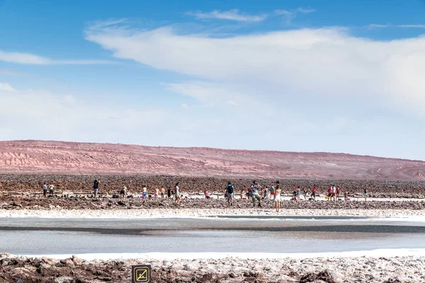 Şili, San Pedro de Atacama: Atacama Çölü