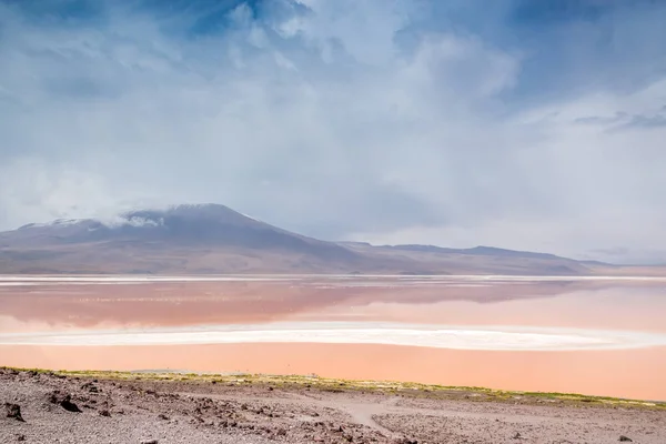 Laguna Colorada, Salar de Uyuni, Βολιβία — Φωτογραφία Αρχείου