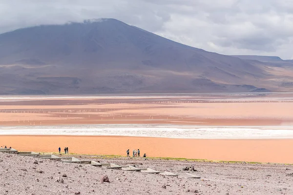 Laguna Colorada, Salar de Uyuni, Bolivya