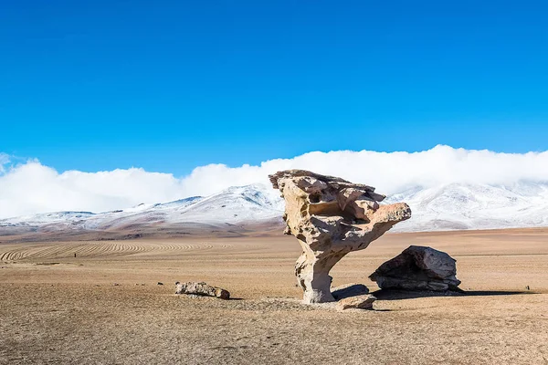 Kaya oluşumu (Arbol de Piedra) Uyuni, Bolivya