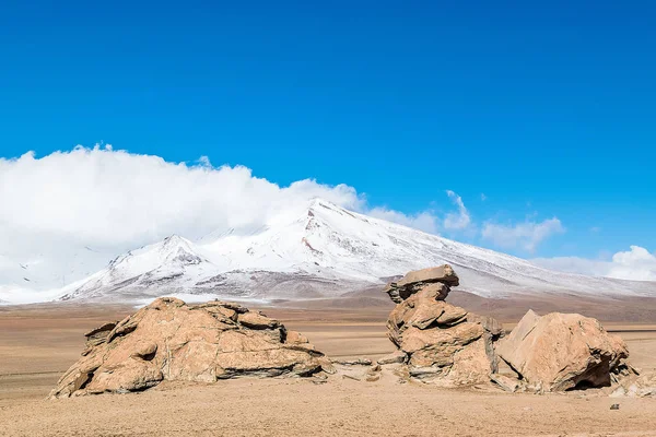 Kaya oluşumu (Arbol de Piedra) Uyuni, Bolivya