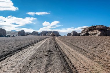 Kaya oluşumu (Arbol de Piedra) Uyuni, Bolivya