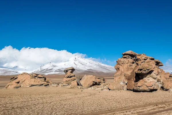 Σχηματισμός βράχου (Arbol de Piedra) σε Uyuni, Βολιβία — Φωτογραφία Αρχείου