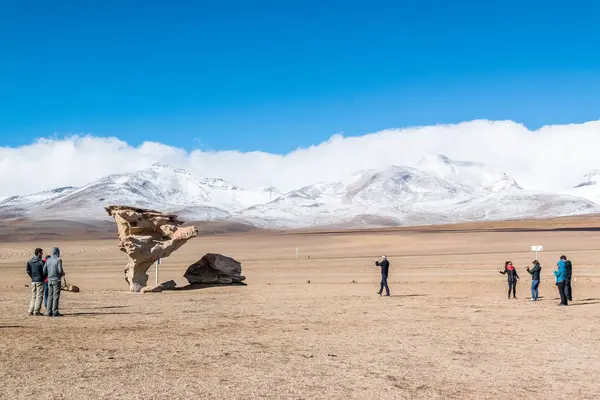Kaya oluşumu (Arbol de Piedra) Uyuni, Bolivya