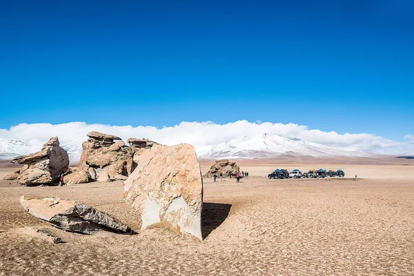 Kaya oluşumu (Arbol de Piedra) Uyuni, Bolivya