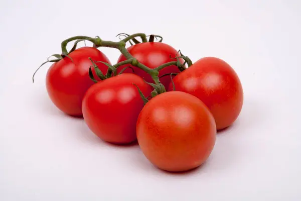 Tomates Sur Une Vigne — Photo