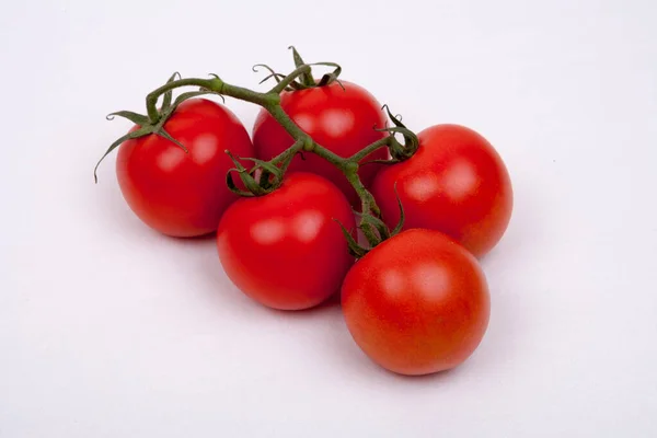 Tomates Sur Une Vigne — Photo