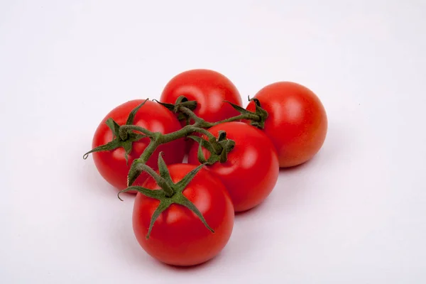 Tomaten Einem Weinstock — Stockfoto
